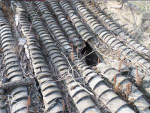 洛宁程氏旧宅屋面修缮工程